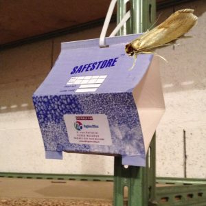 Piège à mite à suspendre