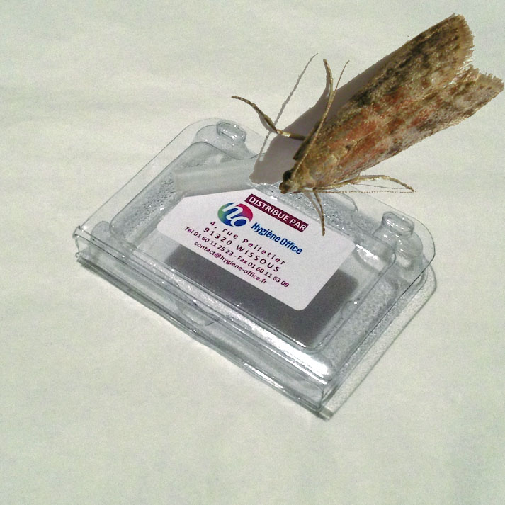 piège mites alimentaires