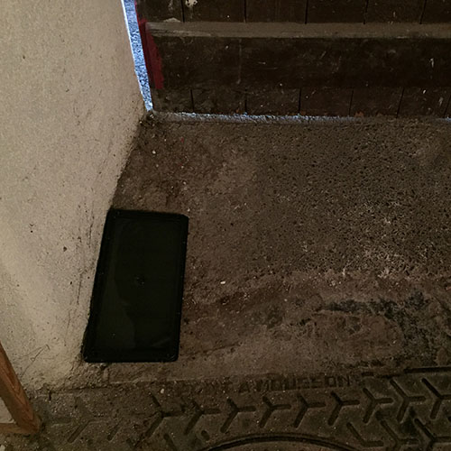 Plaque glu rats – Image 2